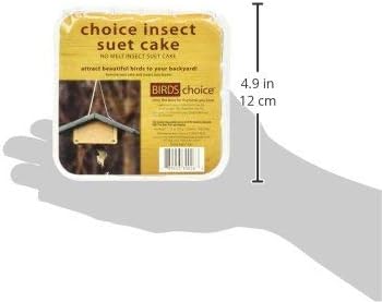 Naturesroom Poly-Lumber Prop Suet Feeder for Birds - Include 2 Bonus Suet Cake Cage Feeder Packs -Premium Insect and Peanut Suet Cakes for Feeder Basket Holder, Green/Brown, 12"L x 8"W X 3"D (sntp)