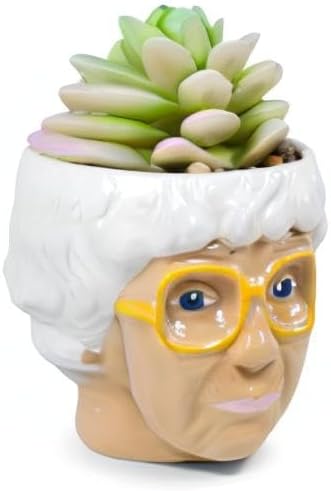 Silver Buffalo The Golden Girls Sophia Face Mini Ceramic Planter Decor | Official TV Show Collectible | Small Flower Pot for Indoor Plants, Includes Artificial Succulent | 3 Inches