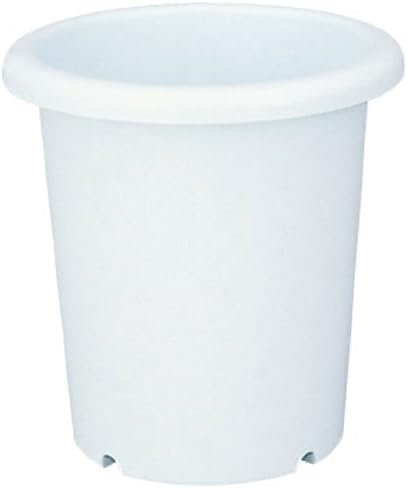 Richell Long Bowl, No. 12, White