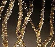 CB Performance Advantage Outdoor Solar String Lights, 33-ft with 100 Lights, Warm White