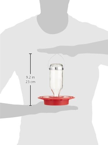 Best 1- 16 oz Hummingbird Feeder