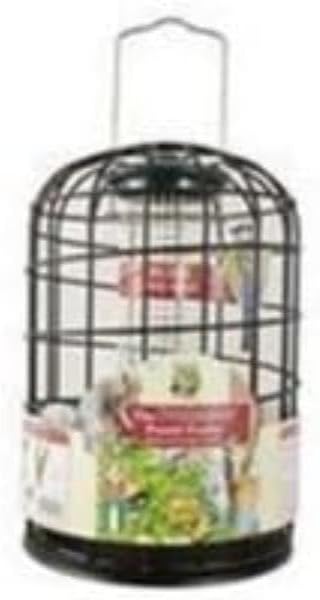 Walter Harrison's Wild Bird Feed Protector Squirrel Proof Hanging Peanut and Suet Feeder - 20 cm,Black
