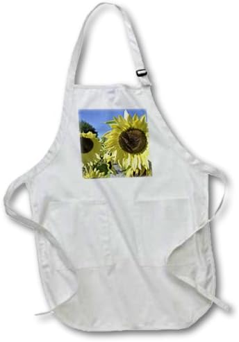 3dRose Yellow Garden of Sunflowers-Flowers-Floral Photography-Full Len