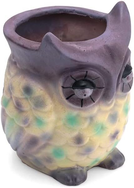 Deco Alankaram Presents Home Decor and Home Decorative Owl Shaped Polyresin Planter Pot/Vase for Office Reception, Living Room, Perfect for Gifting #Frienemy-1024