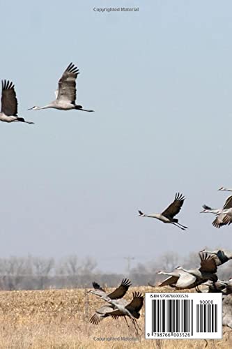 Bird Watching Log Book: Birdwatching Journal | Birder’s Log Book | Birdwatching Diary, Notebook | 6”X9”, 105 pages, Document Your Bird Watching Activities
