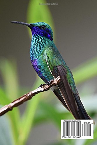 Hummingbird Journal: (Hummingbird Notebook, hummingbirds, Notebook, Co