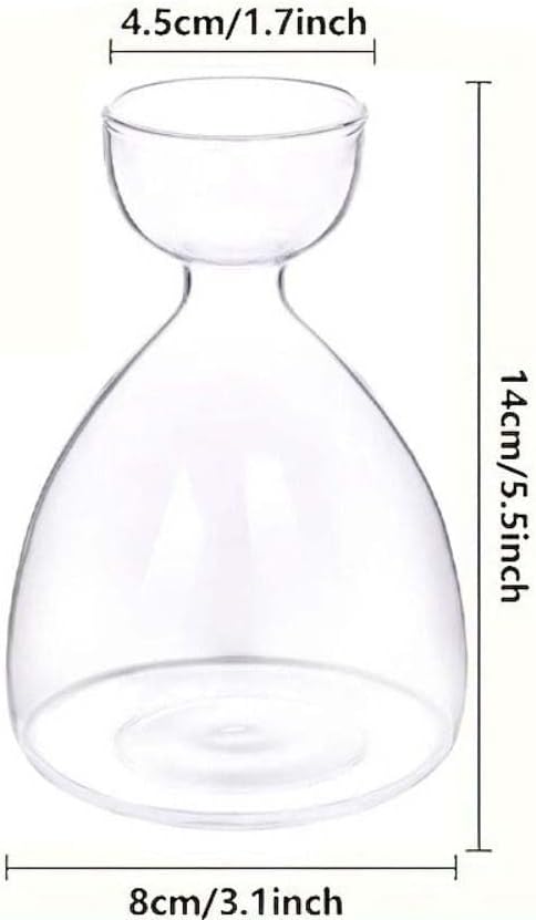 Glass Avocado Vase, Avocado Vase for Growing,Avocado Glass Plant Pot,Gift for Gardening Lover