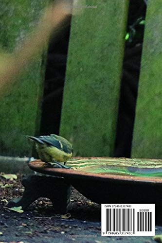 Bird Watching for Children: Bird Watching Lovers, Birdwatchers Notebook - For Recording Bird Sightings, Birders Journal full of details (Species, Behaviors, Habitat and much more)