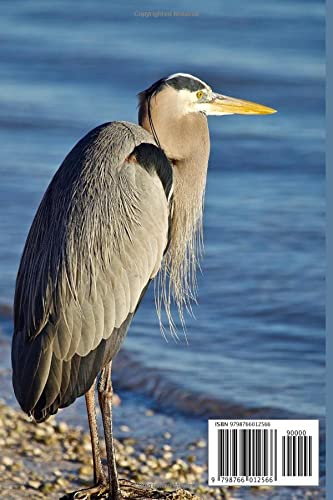 Bird Watching Observation Journal: Birdwatching Journal | Birder’s Log Book | Birdwatching Diary, Notebook | 6”X9”, 105 pages, Document Your Bird Watching Activities