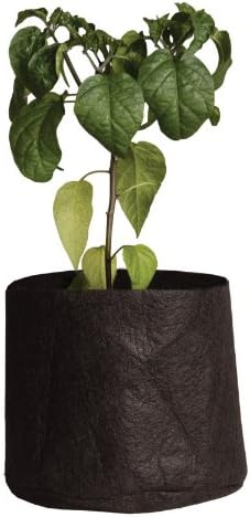 Smart Pots 1-Gallon Smart Pot Soft-Sided Container, Black