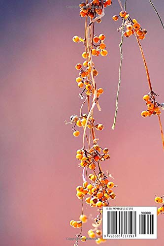 Bird Watching Book: Bird Watching Lovers, Birdwatchers Notebook - For Recording Bird Sightings, Birders Journal full of details (Species, Behaviors, Habitat and much more)