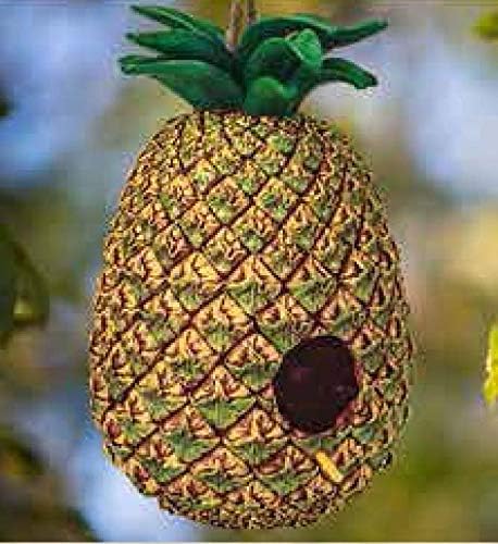 Spoontiques - Birdhouse - Garden Décor - Decorative Bird House for Yar