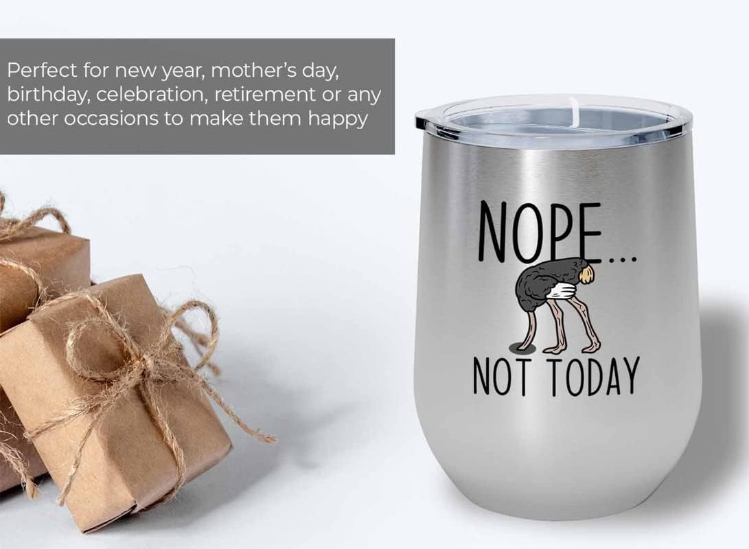 Bird Lover Silver Edition Wine Tumbler 12oz - Nope not Today - Humming