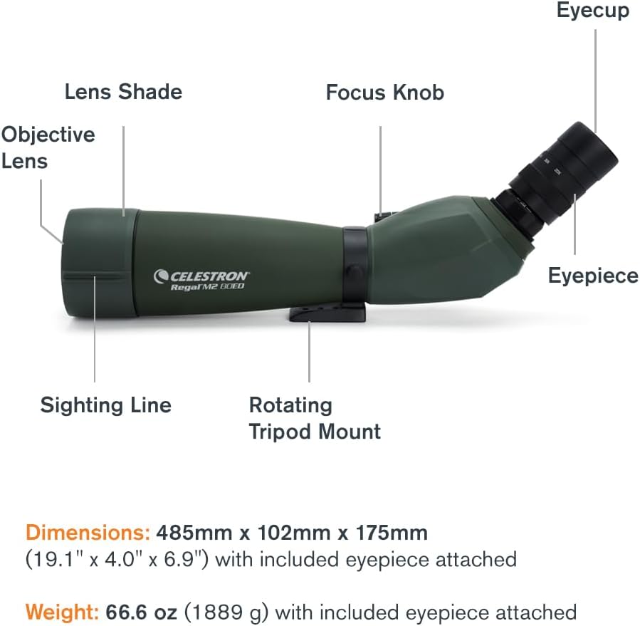 Celestron – Regal M2 80ED Spotting Scope – ED Glass for Birding and Outdoor Activities – Phase and Dielectric Coated BaK-4 Prism – Fully Multi-Coated Optics – Dual Focus – 20-60x Zoom Eyepiece