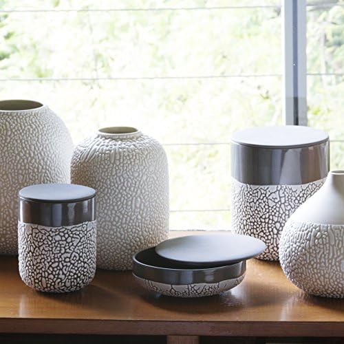 Hosley Lichen Box 5-Inch High Charcoal Floral Planter for Home Decor, Office Decor, and Kitchen Decor - Decorative Indoor & Outdoor Flower Pot for Garden and Patio