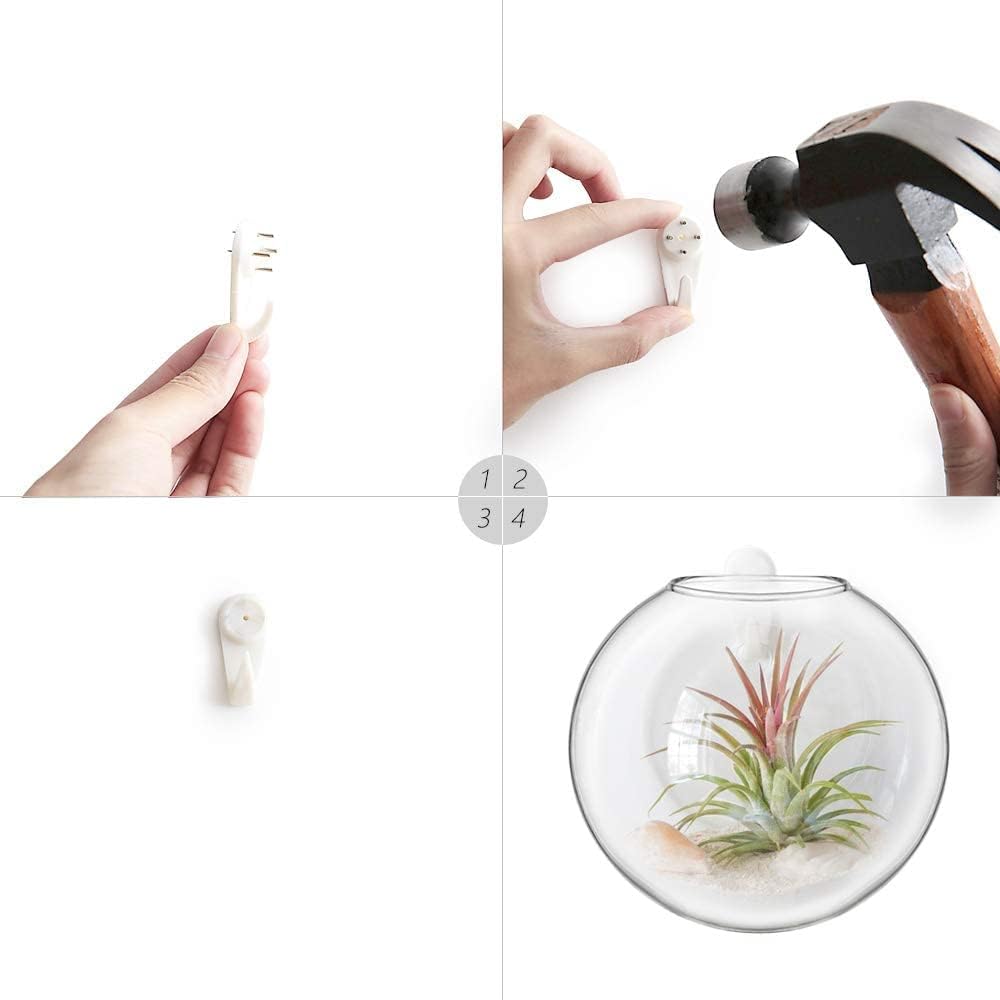 Mkono Wall Hanging Glass Terrariums Planter Oblate Flower Vase for Hydroponics Plants, Bathroom, Home Office Living Room Decor, Set of 2