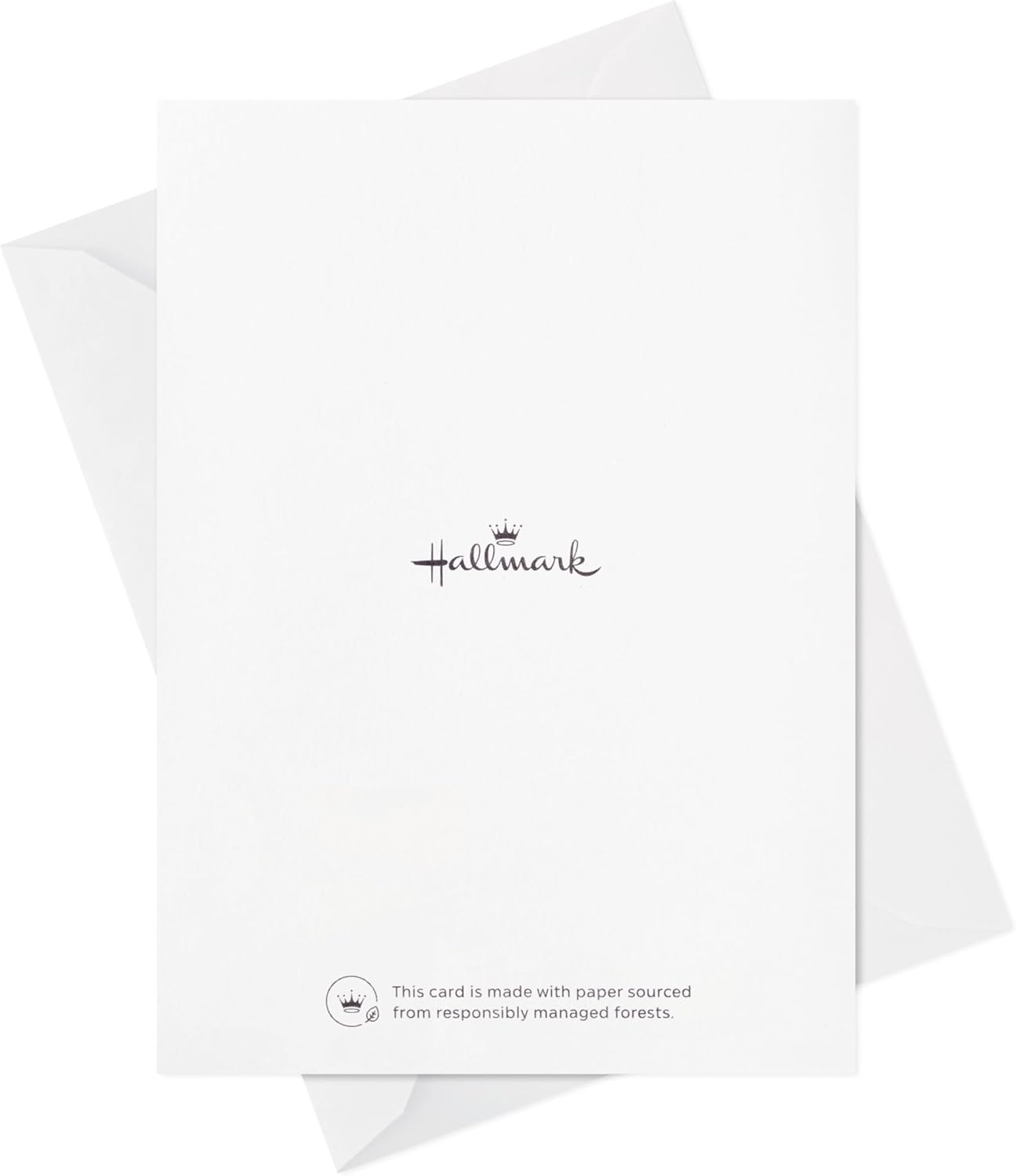 Hallmark Blank Cards Assortment, Painted Flowers (48 Cards with Envelopes)