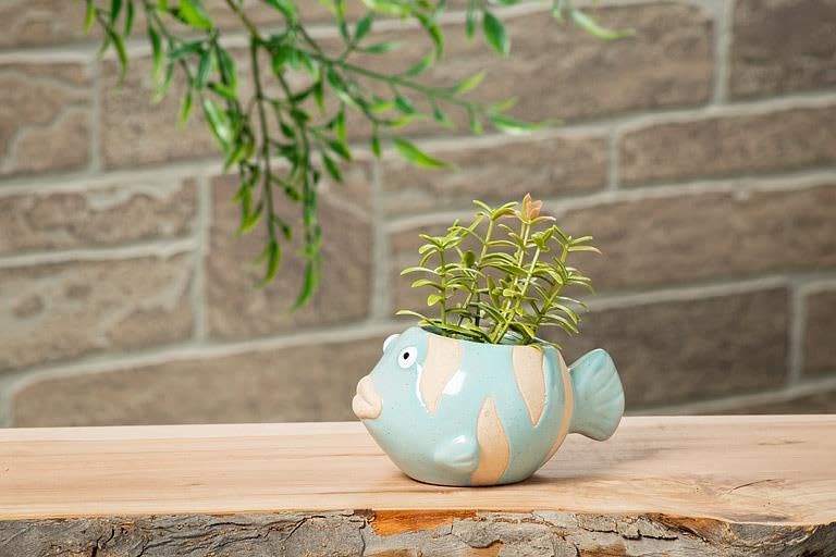 Abbott Collection Ceramic Fish Planter - Blue, Small (2" H)