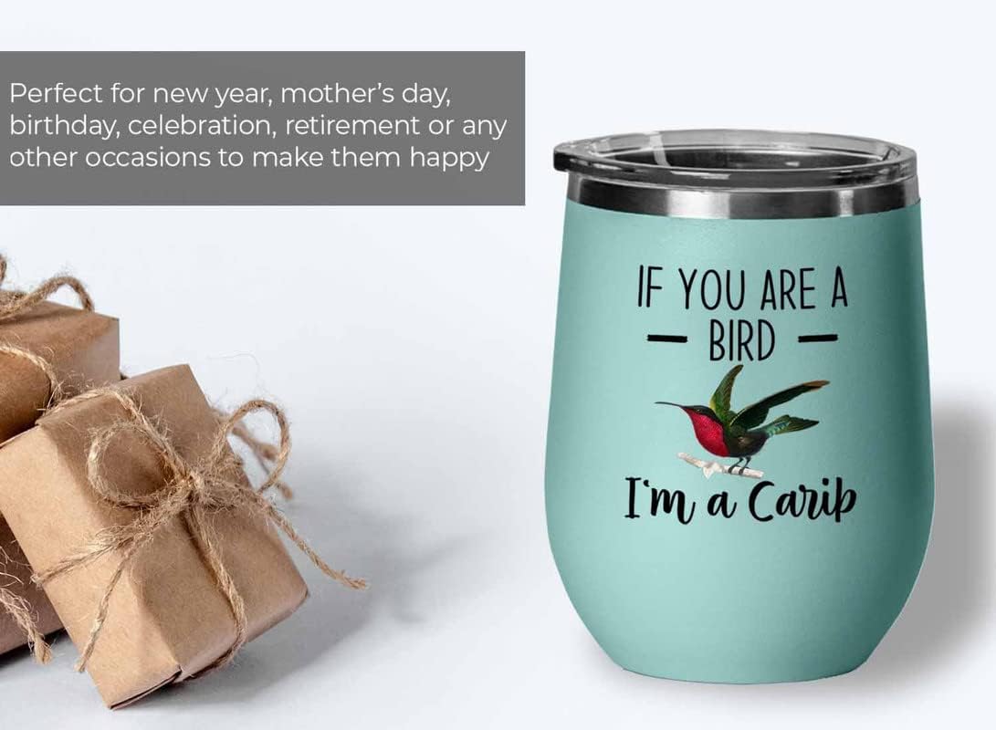 Bird Lover Teal Edition Wine Tumbler 12oz - Bird and Carib - Hummingbird Nest Cage Parrot Dad Gardening Outdoor Birdwatcher Feeder