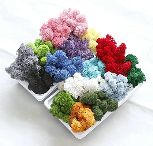 500G Simulation Plants Eternal Life Moss Garden Home Decor Wall DIY Flower Material Mini Garden Micro Landscape Fake Moss (Grass Green)