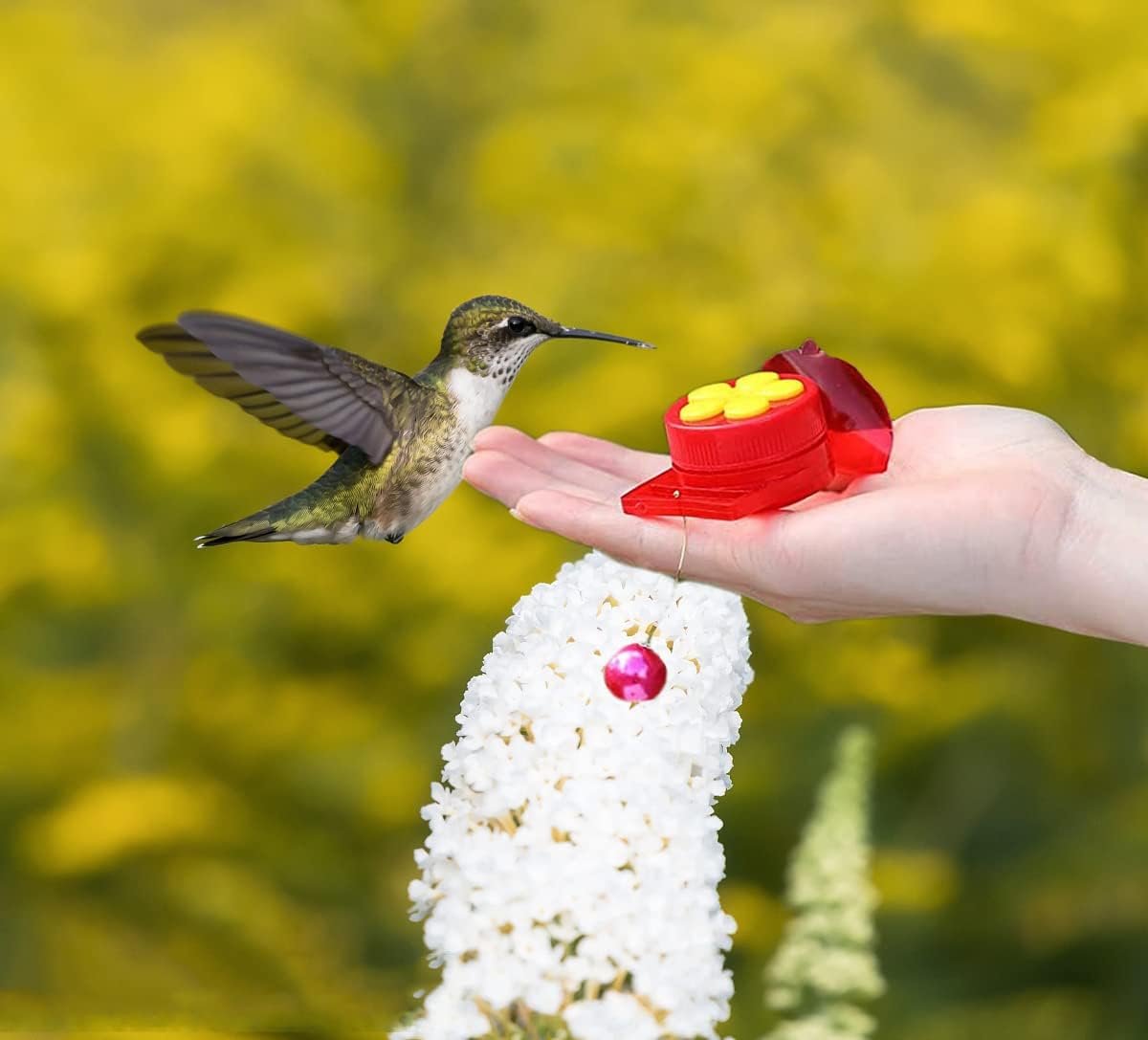 Hand Held Hummingbird Ring Feeders, 3Pcs Mini Hummingbird Hand Feeder with Cleaning Brush,Window Humming Wild Bird Feeders Tools for Outdoors Supplies,2 Styles, Red and Yellow