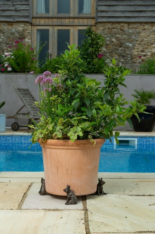 Jardinopia Pig Plant Pot Feet - Set of 3 - L8 x W6 x H9 cm