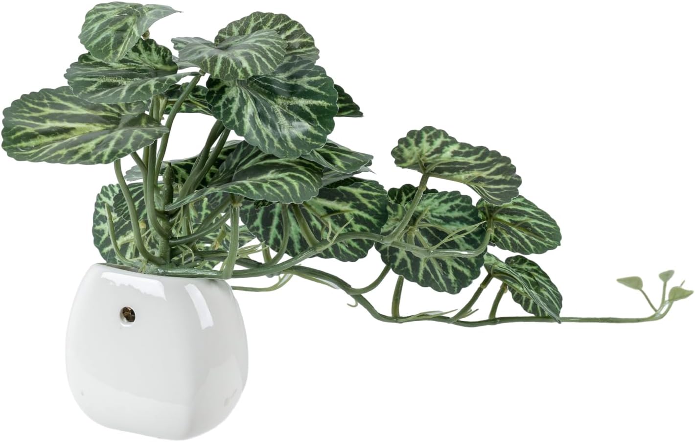 MyGift Single Wall Mounted Artificial Green Leafy Draping Plant Potted in White Ceramic Pot, Faux Begonia Imperialis X Pustulata Decorative Hanging Planter with Trailing Leaves