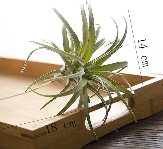 ChezMax Artificial Flocking Tillandsia Air Plants Pineapple Grass Faux Succulents Bromeliads Home Garden Decor 2Pcs 4#