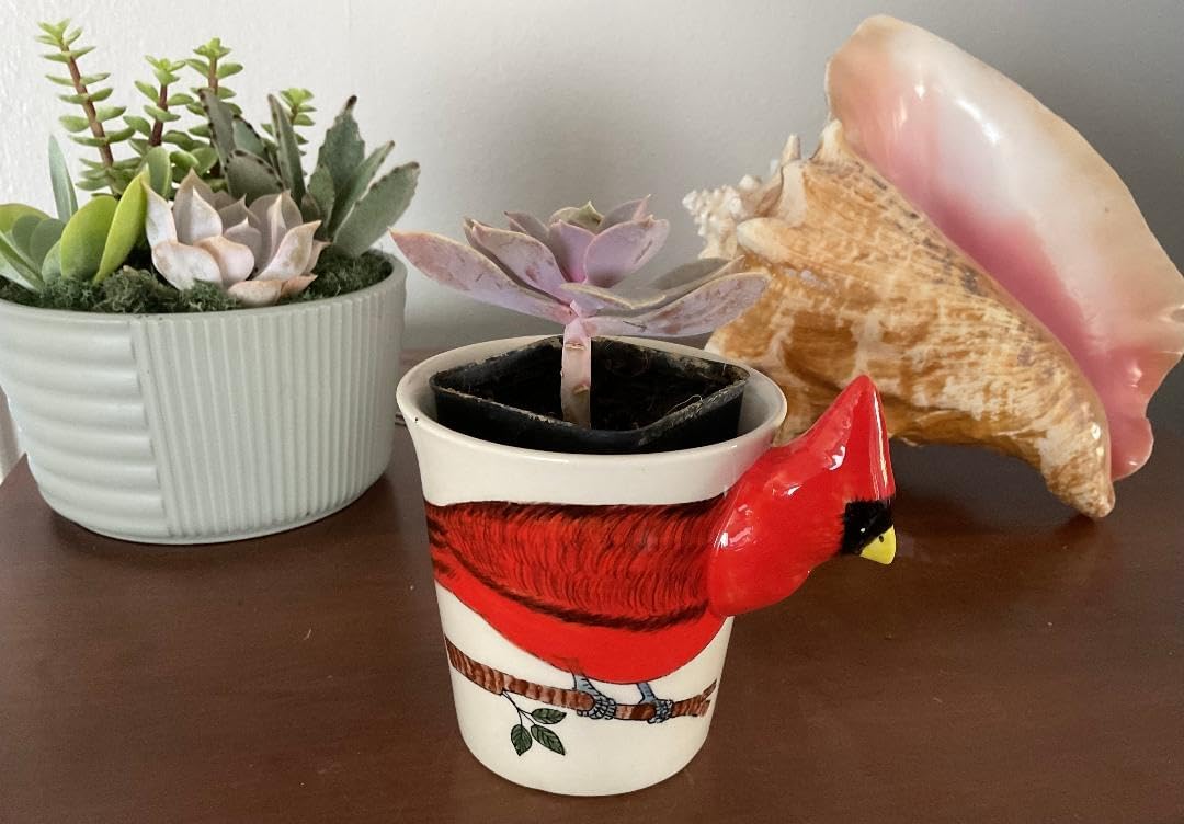 SassyXpressions Cardinal Coffee Mug & Small Planter Pot Handcrafted Red Bird Design β Novelty Decorative Ceramic Tea Mug & Mini Plant Holder, Unique Gift for Bird Lovers, Office & Home Decor