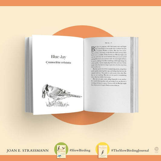 The Slow Birding Journal: A Field Diary for Watching Birds Wherever Yo