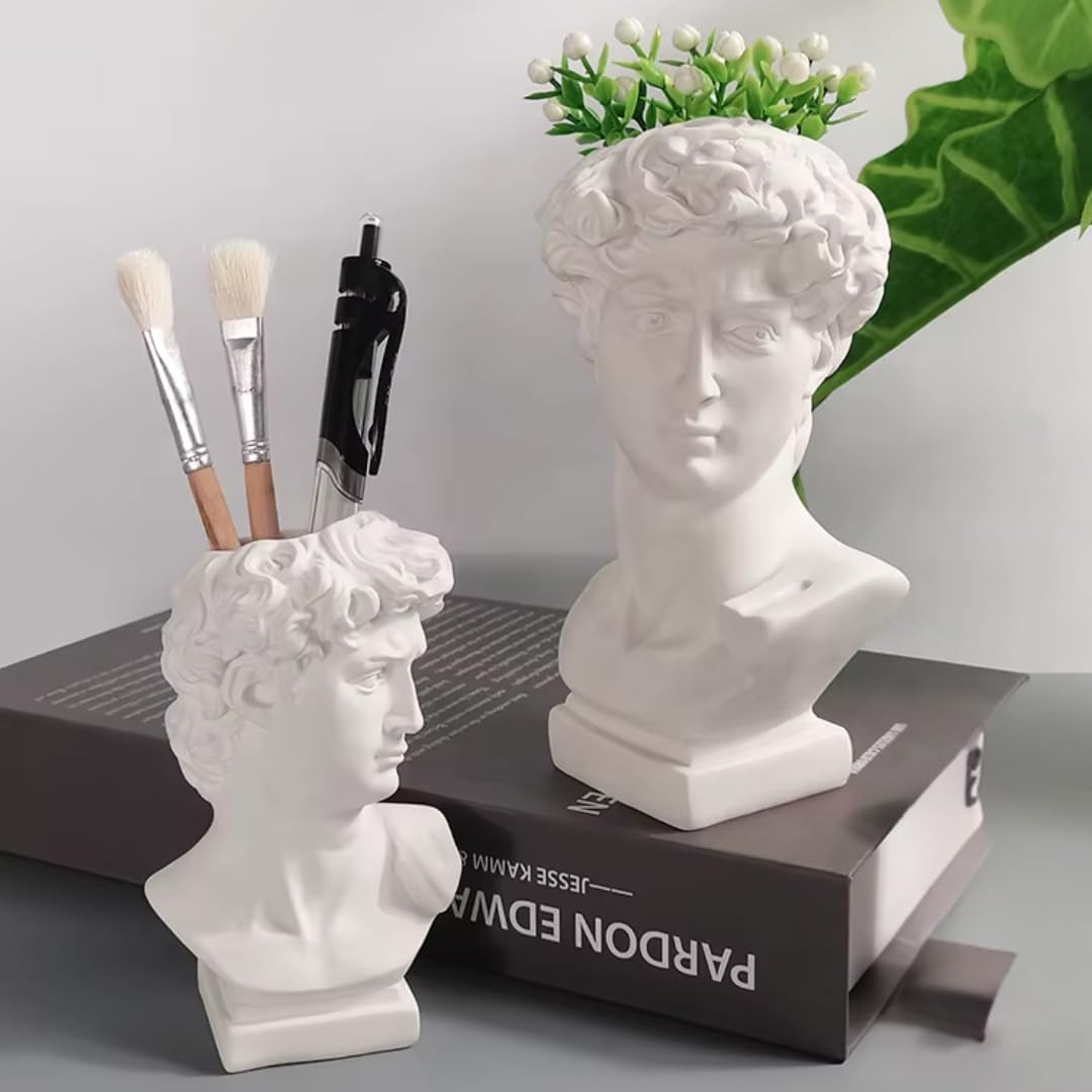 David Head Plant Pot Flower Vase Roman Style Face Planter for Garden Home Office Decorative Bust Statue Planter Modern Decor (Medium)