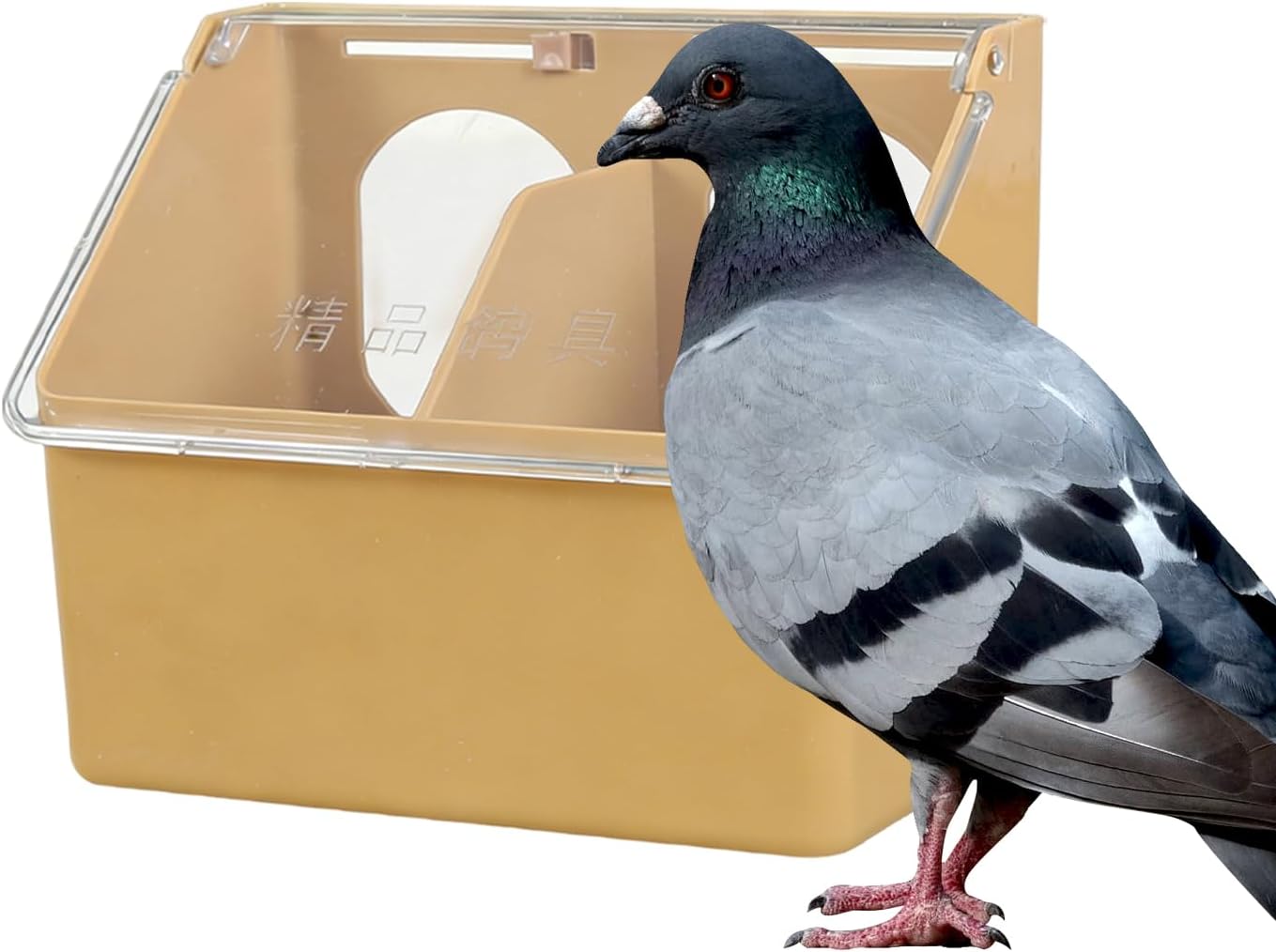 Pigeon Feeder - Sturdy Large Capacity Dispenser, Bird Feeding Box 16x14x9.5cm with Secure Design for Parakeet, Parrot, Chicken, Quail, Poultry Indoor Outdoor Backyard Garden Farm