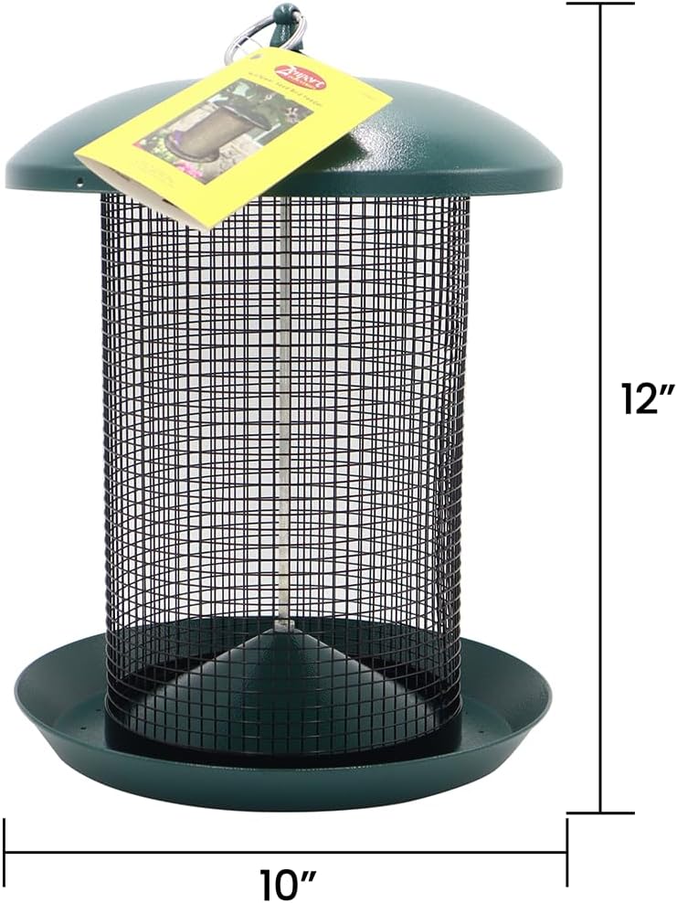 Zenport Z203010 Hanging Bird Seed Screen Feeder