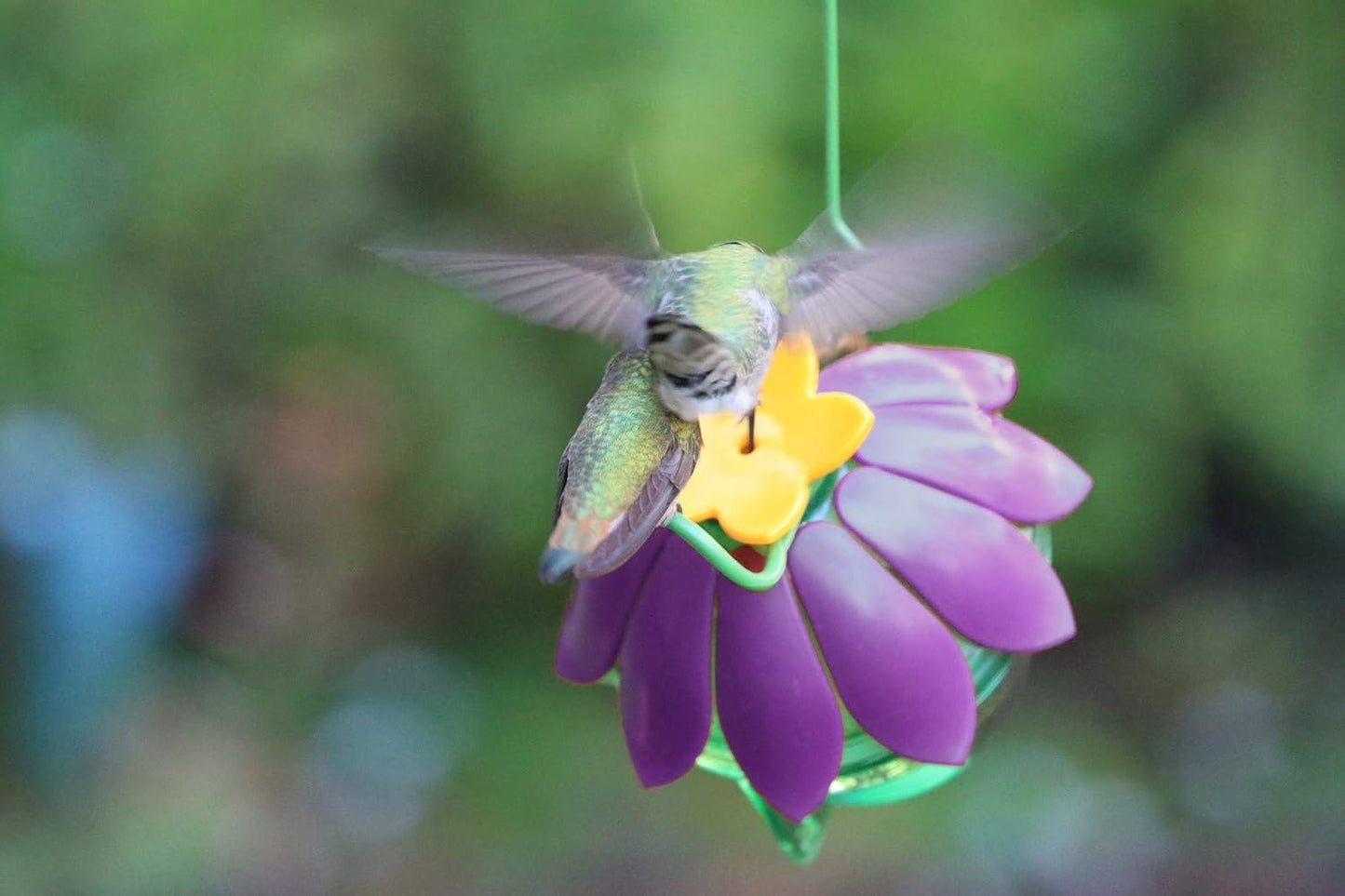Nature's Way 066467 Sfhf2 So Real Single Flower Hummingbird Feeder, Purple (Pack of 2)