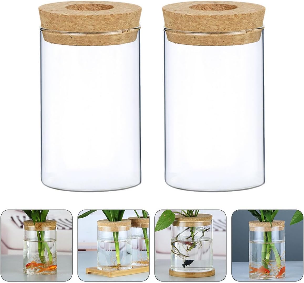 PRETYZOOM 2pcs Decorative Glass Vase with Wooden Cork Small Hydroponics Flower Pot for Indoor Greenery Stylish Planter for Home and Office Decor