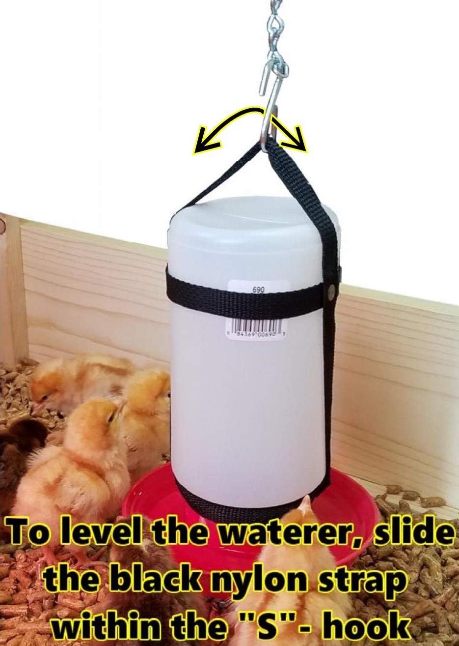 1 Qt. Hanging Harness with Plastic Bottle and Waterer Base