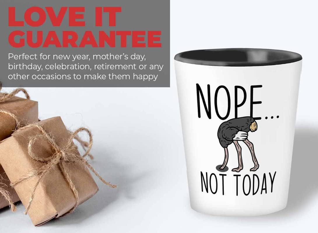 Bird Lover Shot Glass 1.5oz - Nope not today - Hummingbird Nest Cage P