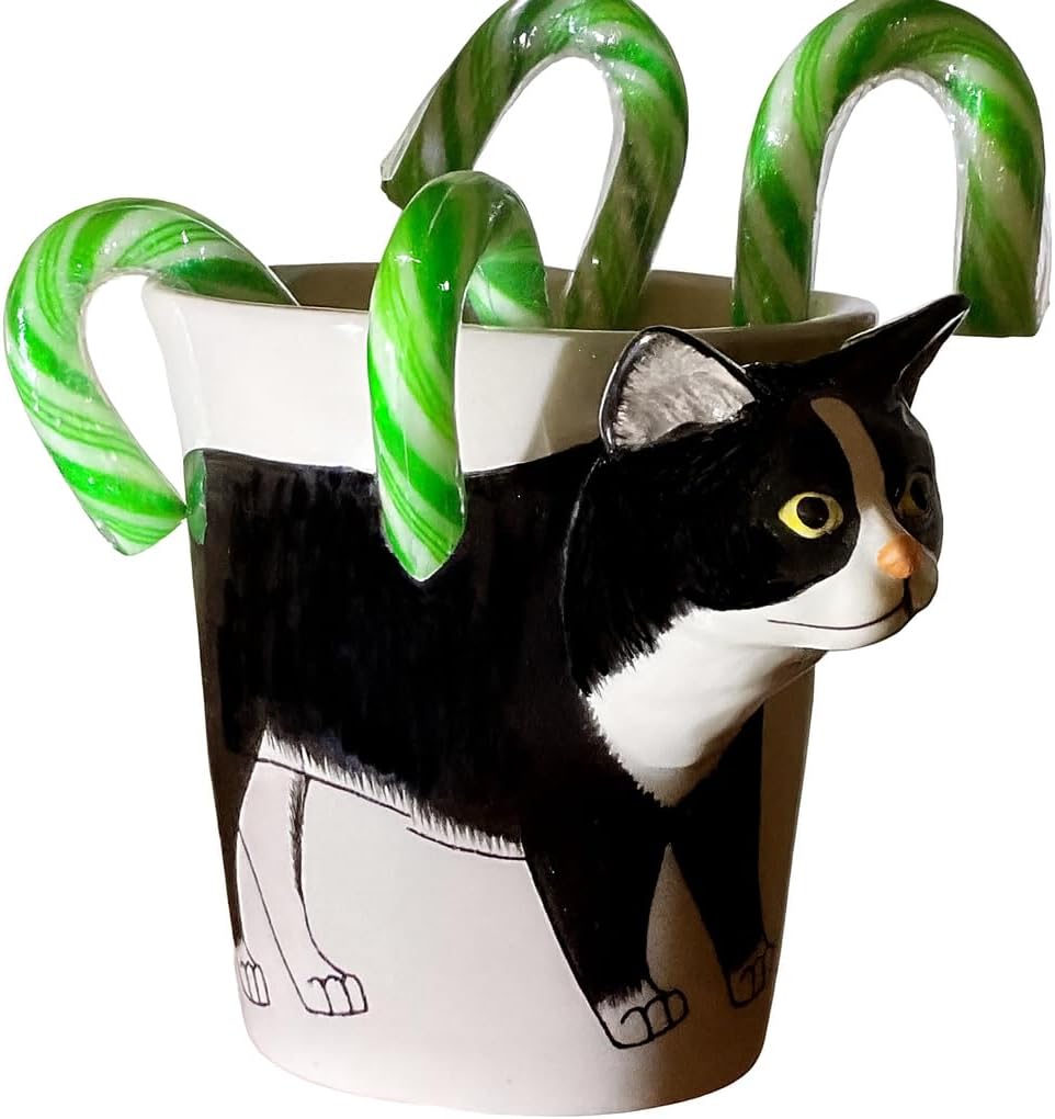 Black Tuxedo Cat Coffee Mug & Mini Planter Pot β Ceramic Coffee Cup with 3D Cat Head Handle, Multi-Use Cute Novelty Tea Mug, Pencil Holder β Gift for Cats Lovers & Office Decor by SassyXpressions