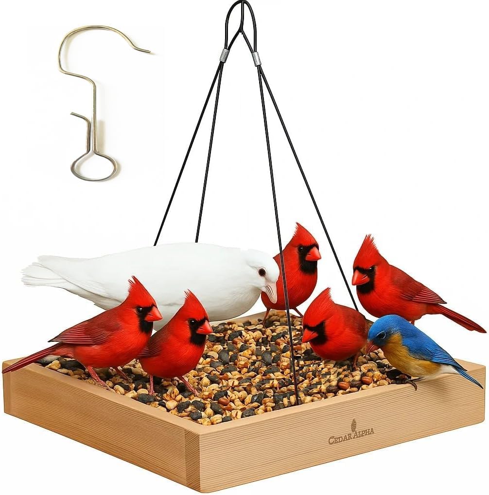 Cedar Wood Platform Tray Bird Feeder 12” - Hanging Bird Feeder for Outside Outdoor - Stainless Steel Cable Mesh Base - Weather Proof Birdfeeder for 10 Years - Longtime Outdoor Lasting Heavy Duty