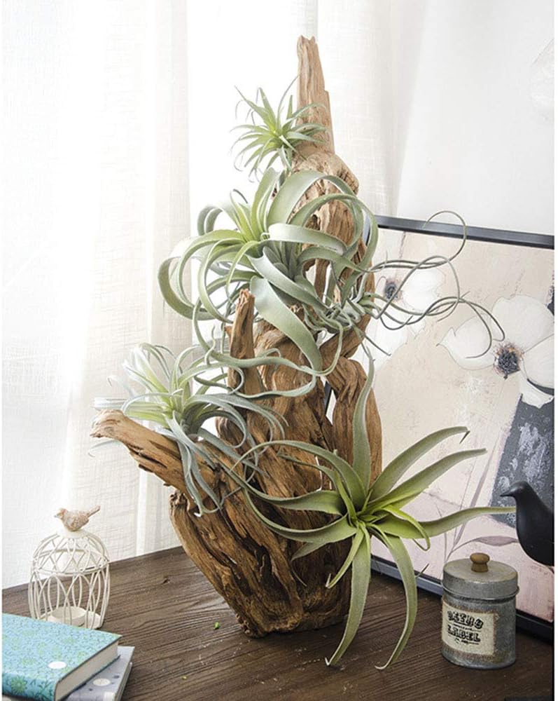 ChezMax Artificial Flocking Tillandsia Air Plants Pineapple Grass Faux Succulents Bromeliads Home Garden Decor 2Pcs 4#
