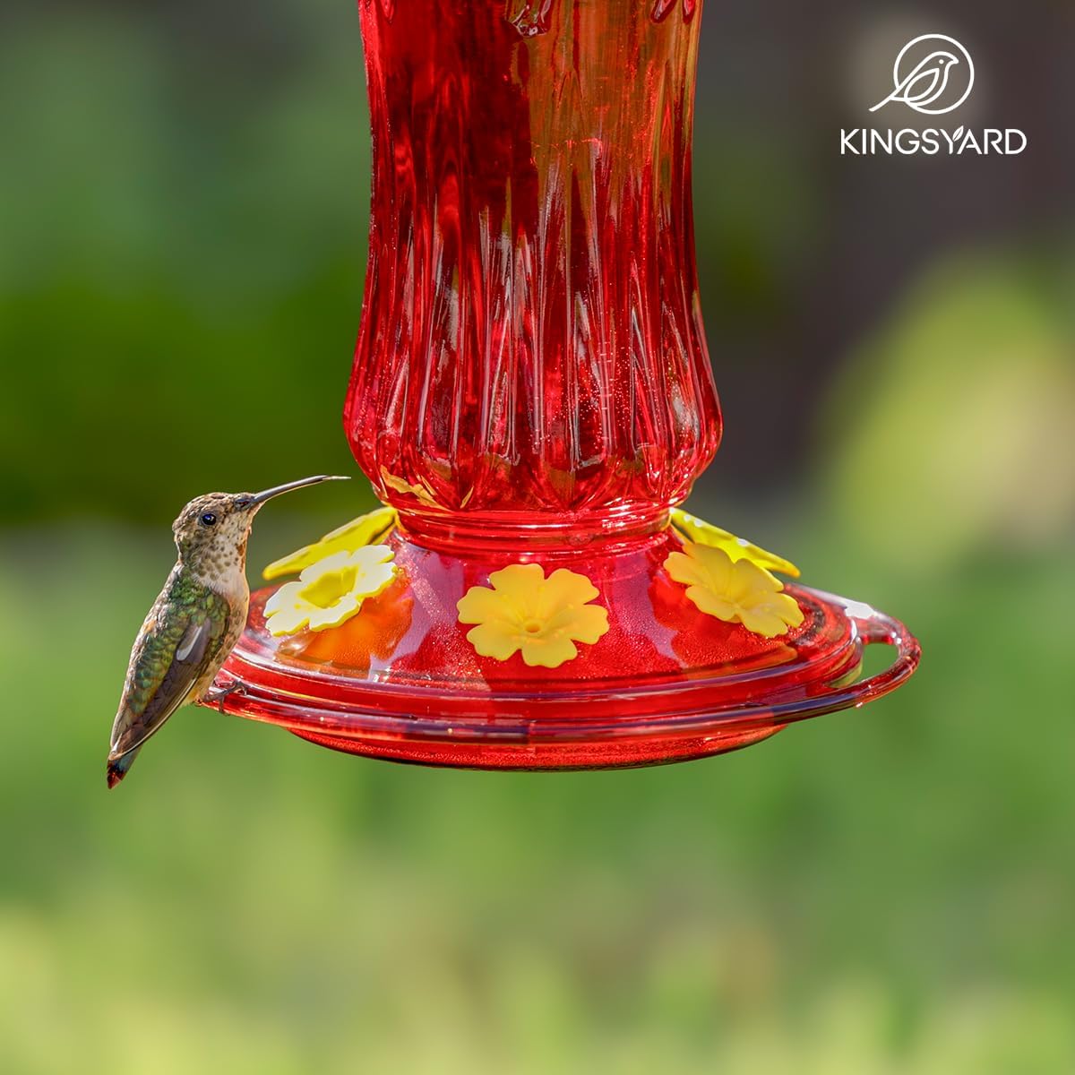 Kingsyard Glass Hummingbird Feeders for Outdoors Hanging, Hummingbird Nectar Feeder with Ant Moat & 6 Bee Guard Feeding Ports, 25 Ounces Leak Proof (Red)