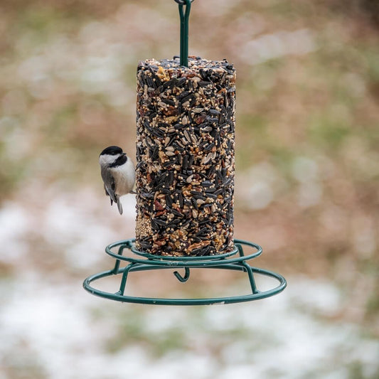 Mr. Bird EZ Feeder | Seed Cylinder Holder for Large and Small Cylinders | Bird Feeder | Backyard Birdfeeding | Wild Bird Food