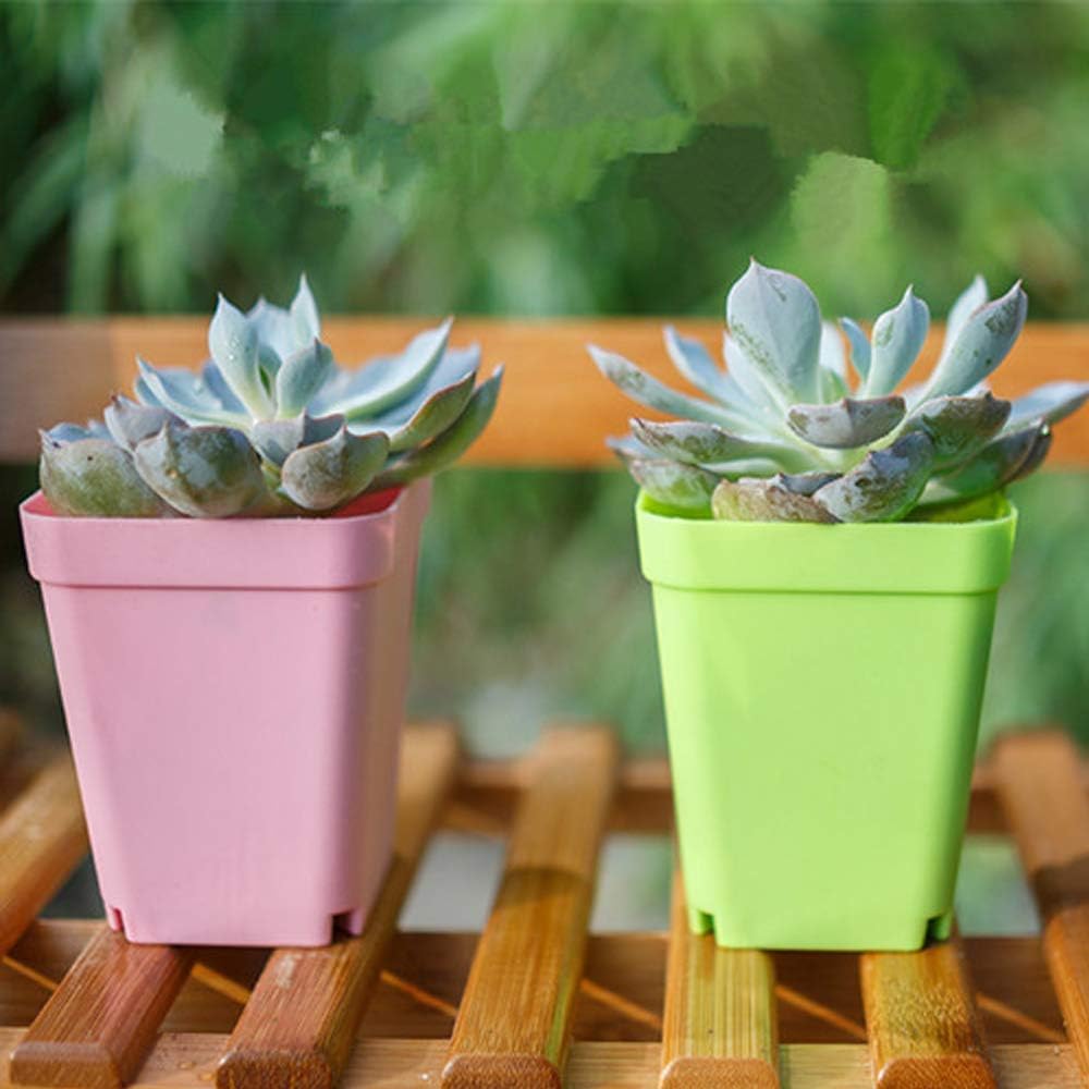 Haawooky 24 Pack Colorful Flower Pots Square Plastic Plant Pots Succul