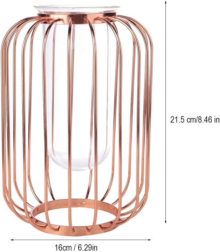 Lantern Shaped Wrought Iron Vase with Glass, Creative Simple Design fo