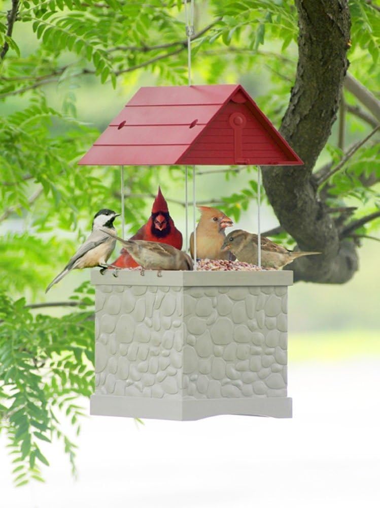 Heath Outdoor Products 2601 Wishing Well 360-Degree Bird Feeder, 5-Pounds