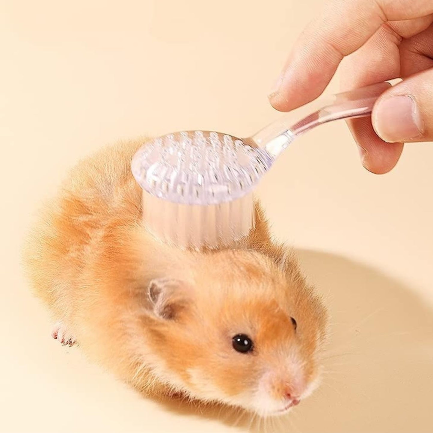 6 Pcs Hedgehog Bath Supplies Kit, Foldable Bathtub and Cleaning Brush
