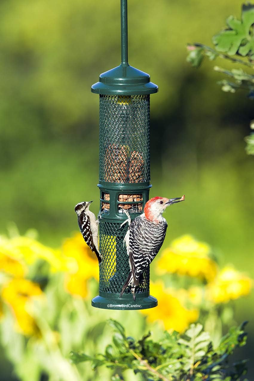 Squirrel Buster Squirrel-Proof Bird Feeder w/2 Suet Cake Trays, 2 Crumb Ports, Mess-Free Suet Loading, Green & Nut Feeder for Nuts and Fruit, Two Meshes