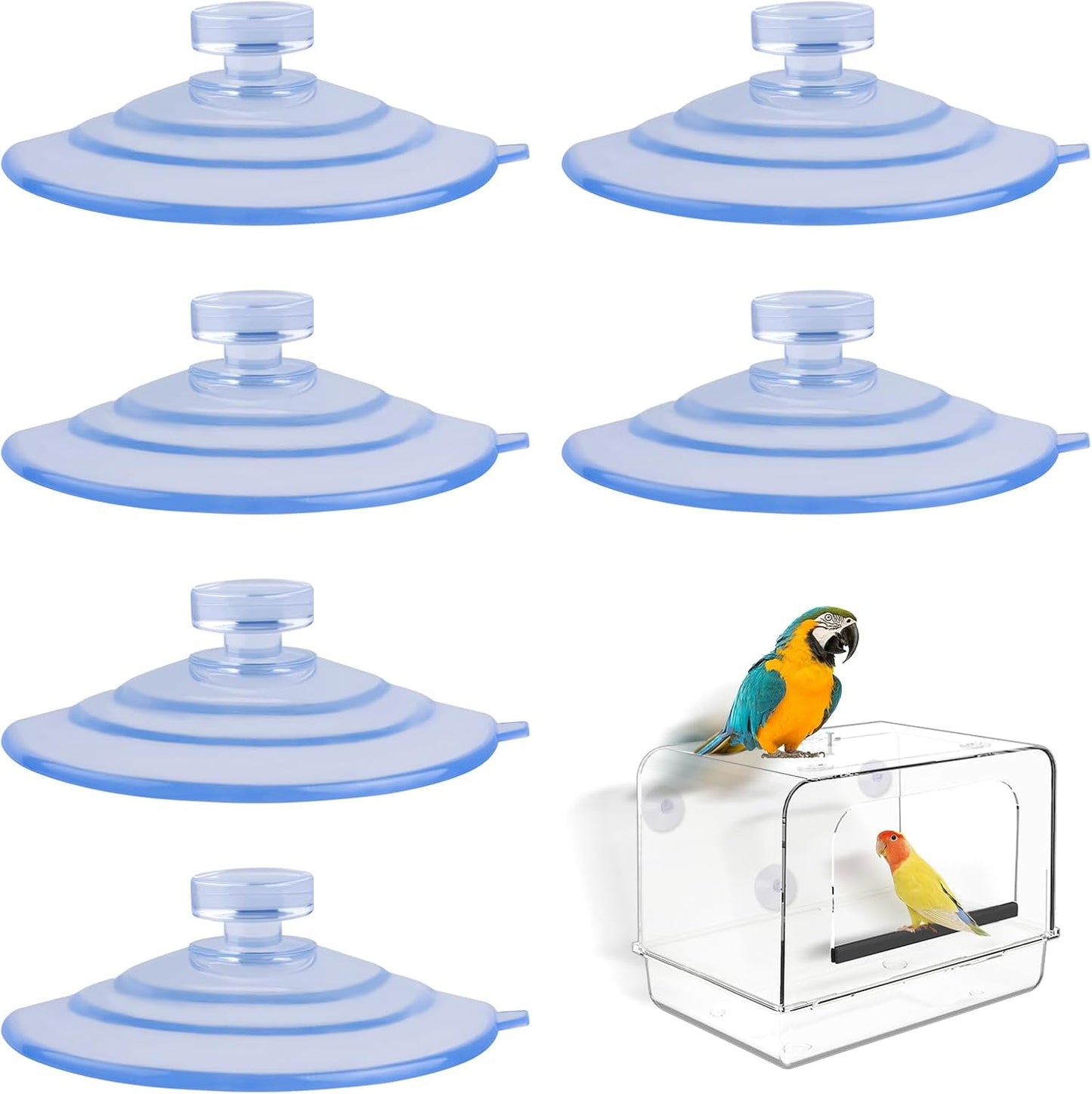 6 Pack of 2.61 Inch Extra-Strong Heavy-Duty Suction Cup – Ideal for Bird Feeders, Bird Baths, and Bee Feeders – Ultimate Window Mounting Solution for Nature Enthusiasts