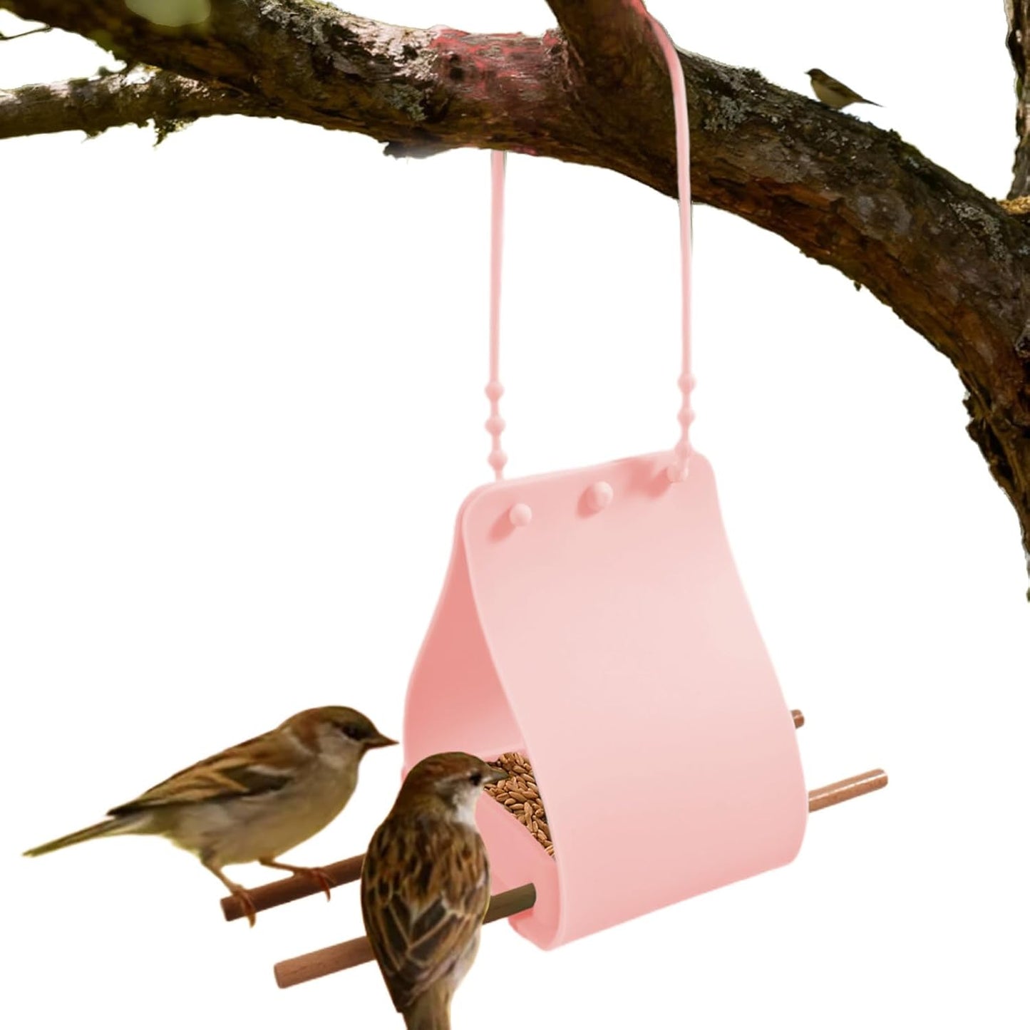 Avian Feeding Bowl - Silicone Seed Container Station, Natural Wood Sta