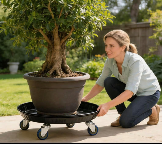 SIAMO 18" Heavy Duty Plant Caddy (470lbs Capacity)-Lockable Non-Scratch Swivel Casters Rolling Plant Stand Dolly Saucer for Large Ceramic Planters & Heavy Trees Indoor & Outdoor,Black